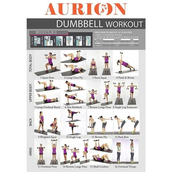 Aurion Dumbbells (Boxed in Pair) (Choose of 1KG, 2KG, 3KG, 4KG, 5KG,6 KG) for Home Gym Exercise, Fitness and Weights for Women and Men Dumbbells Set